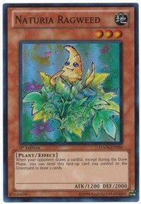Image for Naturia Ragweed (Hidden Arsenal 4) (HA04-EN050) - YuGiOh