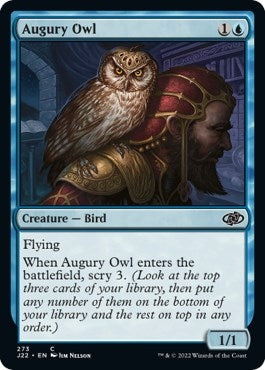 Image for Augury Owl (Jumpstart 2022) (273) - Magic: The Gathering