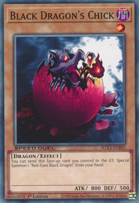 Image for Black Dragon's Chick (Speed Duel GX: Duelists of Shadows) (SGX3-ENB05) - YuGiOh