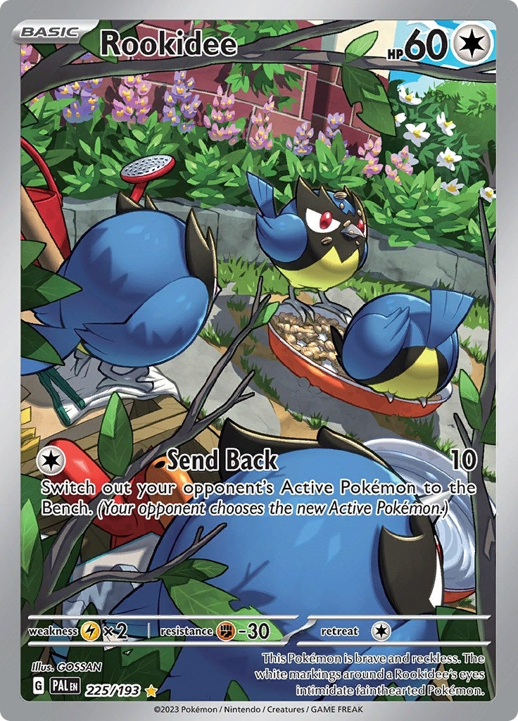 Image for Rookidee (SV02: Paldea Evolved) (225/193) - Pokemon