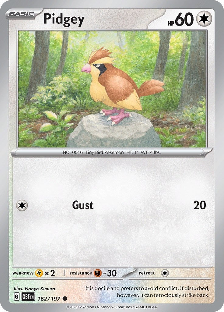 Image for Pidgey (SV03: Obsidian Flames) (162/197) - Pokemon