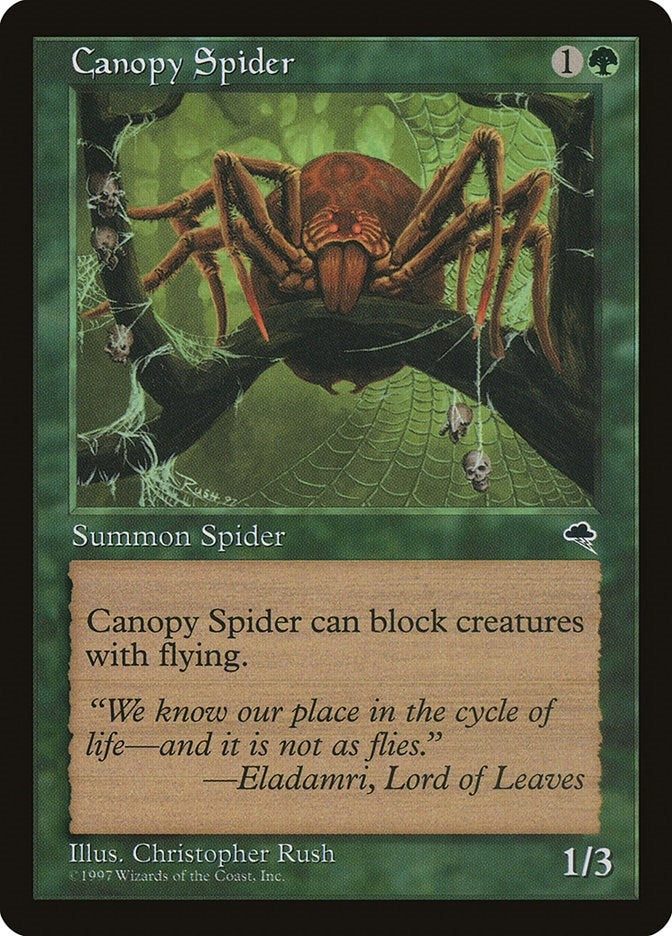 Image for Canopy Spider (Tempest) (217) - Magic: The Gathering