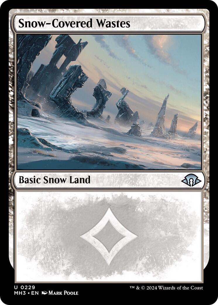 Image for Snow-Covered Wastes (0229) (Modern Horizons 3) (229) - Magic: The Gathering