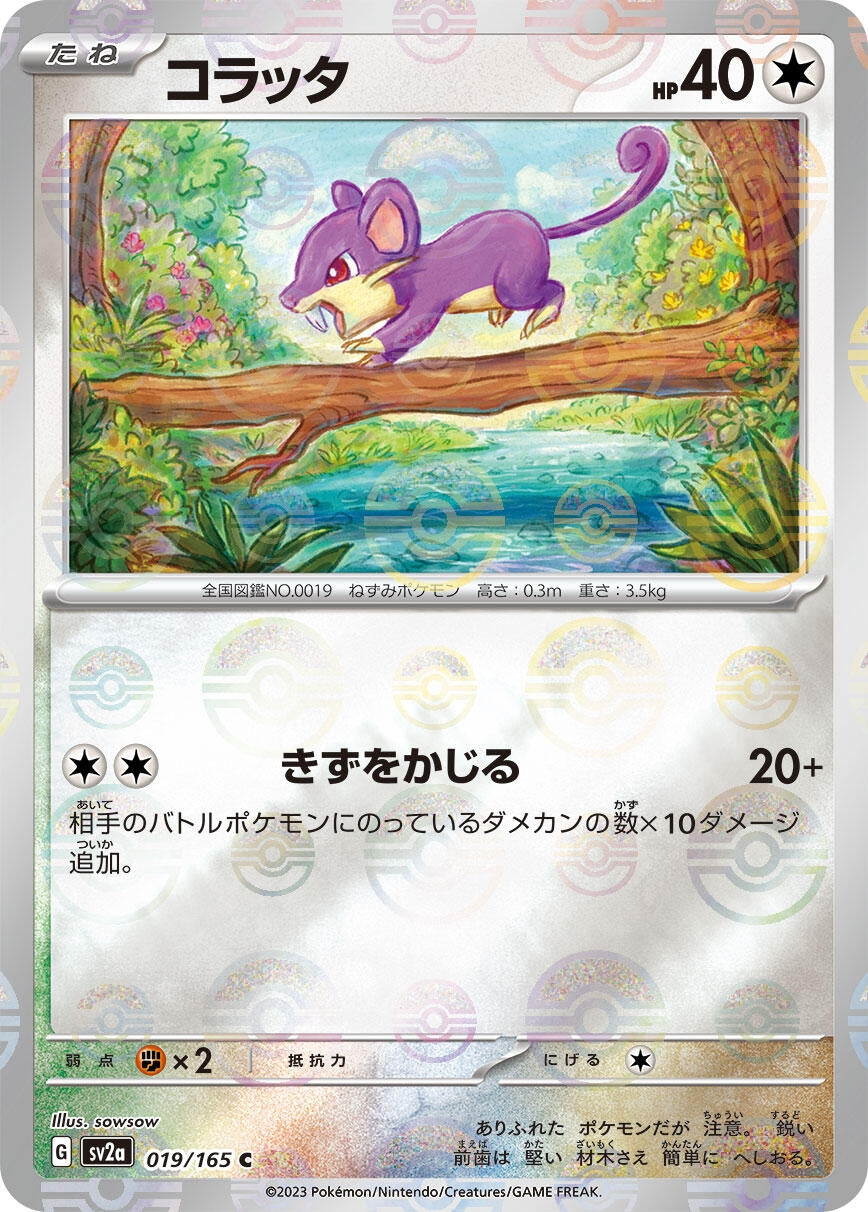 Image for Rattata (Poke Ball Pattern) (SV2a: Pokemon Card 151) (019/165) - Pokemon Japan