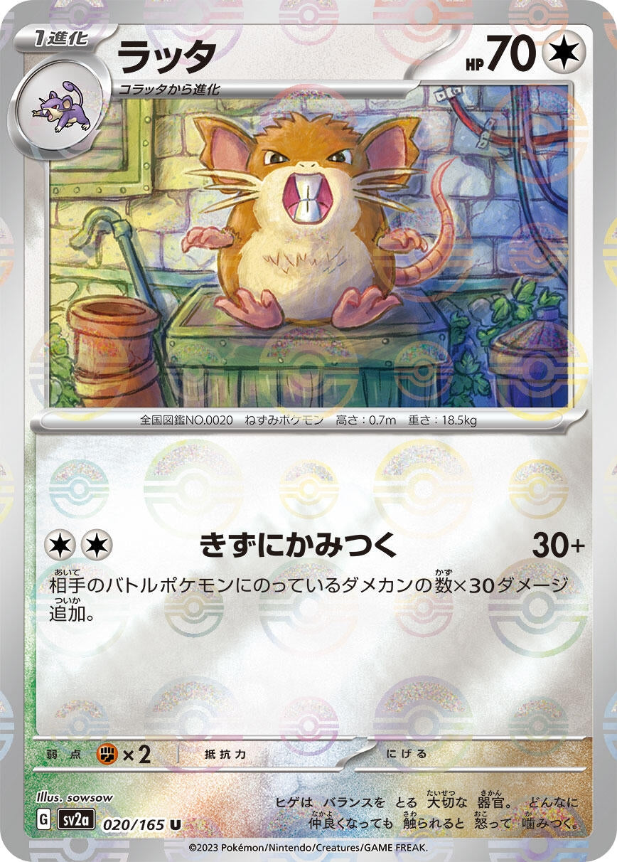 Image for Raticate (Poke Ball Pattern) (SV2a: Pokemon Card 151) (020/165) - Pokemon Japan