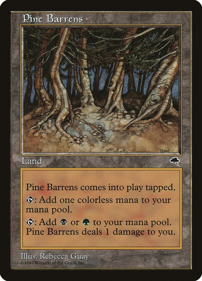 Image for Pine Barrens (Tempest) (321) - Magic: The Gathering