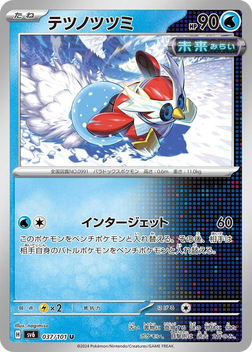 Image for Iron Bundle - Pokemon Japan