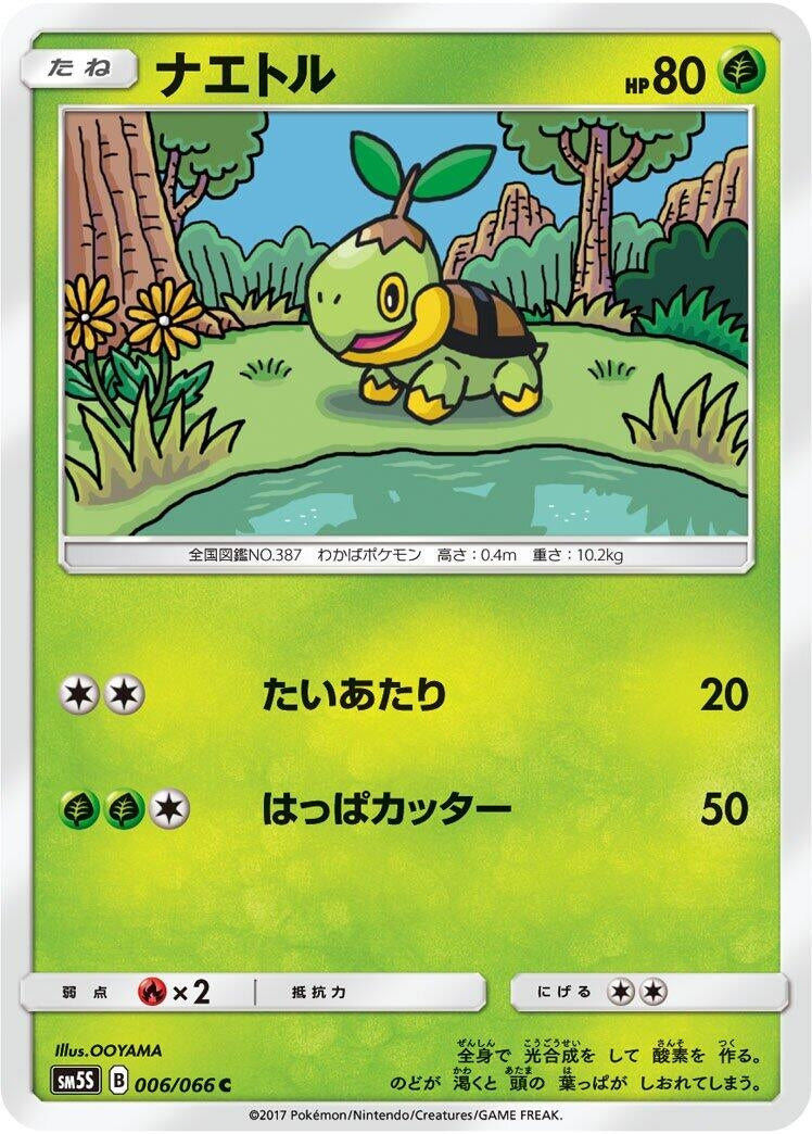 Image for Turtwig (SM5S: Ultra Sun) (006/066) - Pokemon Japan