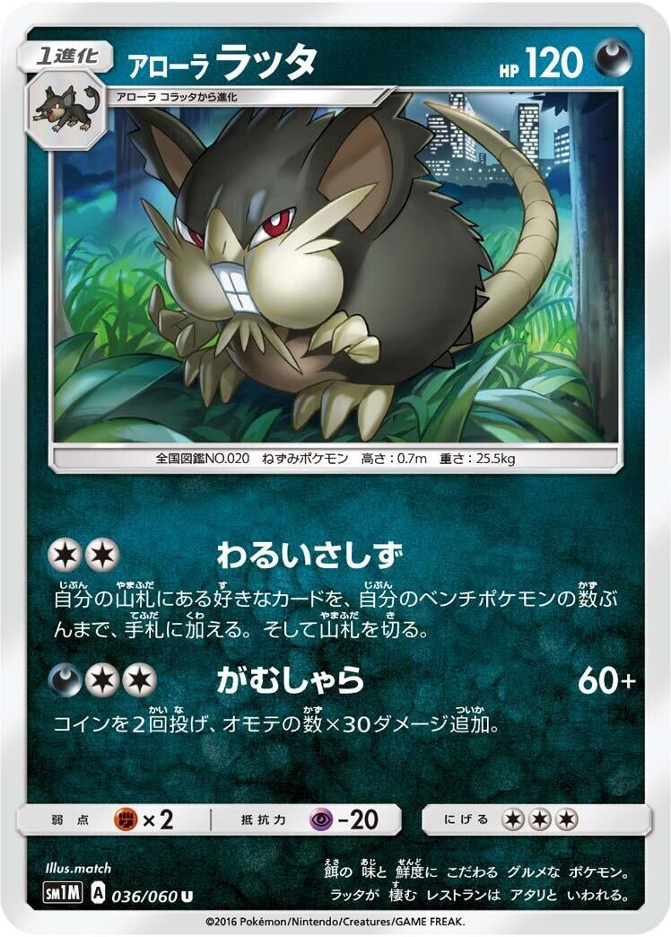 Image for Alolan Raticate (SM1M: Collection Moon) (036/060) - Pokemon Japan