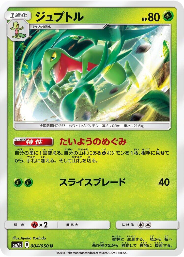 Image for Grovyle (SM7b: Fairy Rise) (004/050) - Pokemon Japan