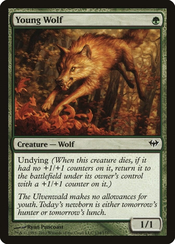 Image for Young Wolf (Dark Ascension) (134) - Magic: The Gathering