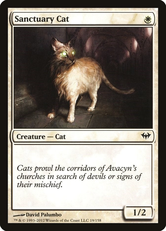 Image for Sanctuary Cat (Dark Ascension) (19) - Magic: The Gathering