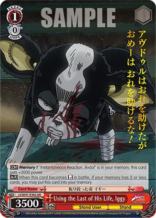 Image for Using the Last of His Life, Iggy (JJR) (JoJo's Bizarre Adventure: Stardust Crusaders Premium Booster) (JJ/SE41-E36J JJR) - Weiss Schwarz