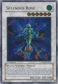 Image for Splendid Rose (UTR) (The Shining Darkness) (TSHD-EN043) - YuGiOh