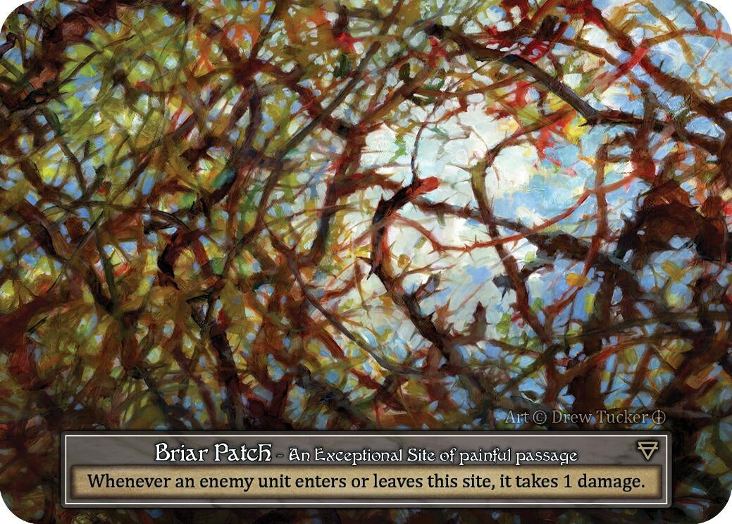 Image for Briar Patch (Foil) (Arthurian Legends) - Sorcery: Contested Realm