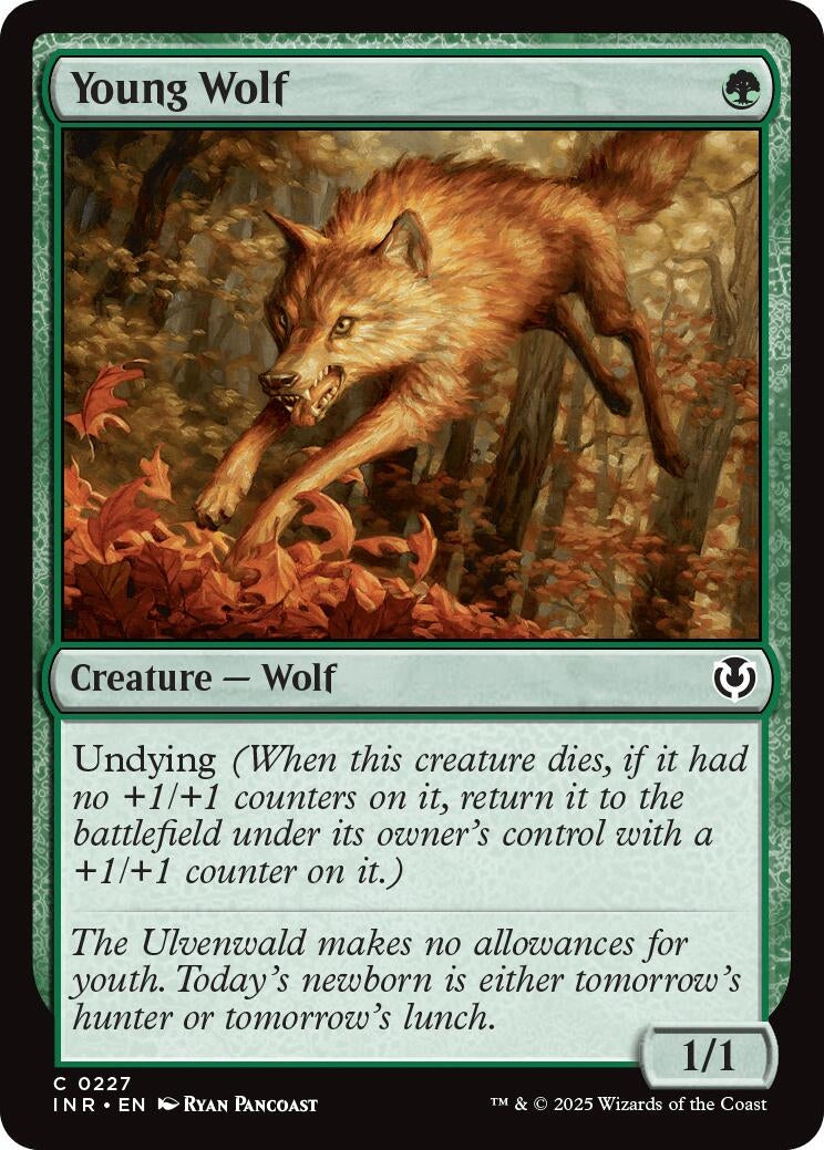 Image for Young Wolf (Innistrad Remastered) (227) - Magic: The Gathering
