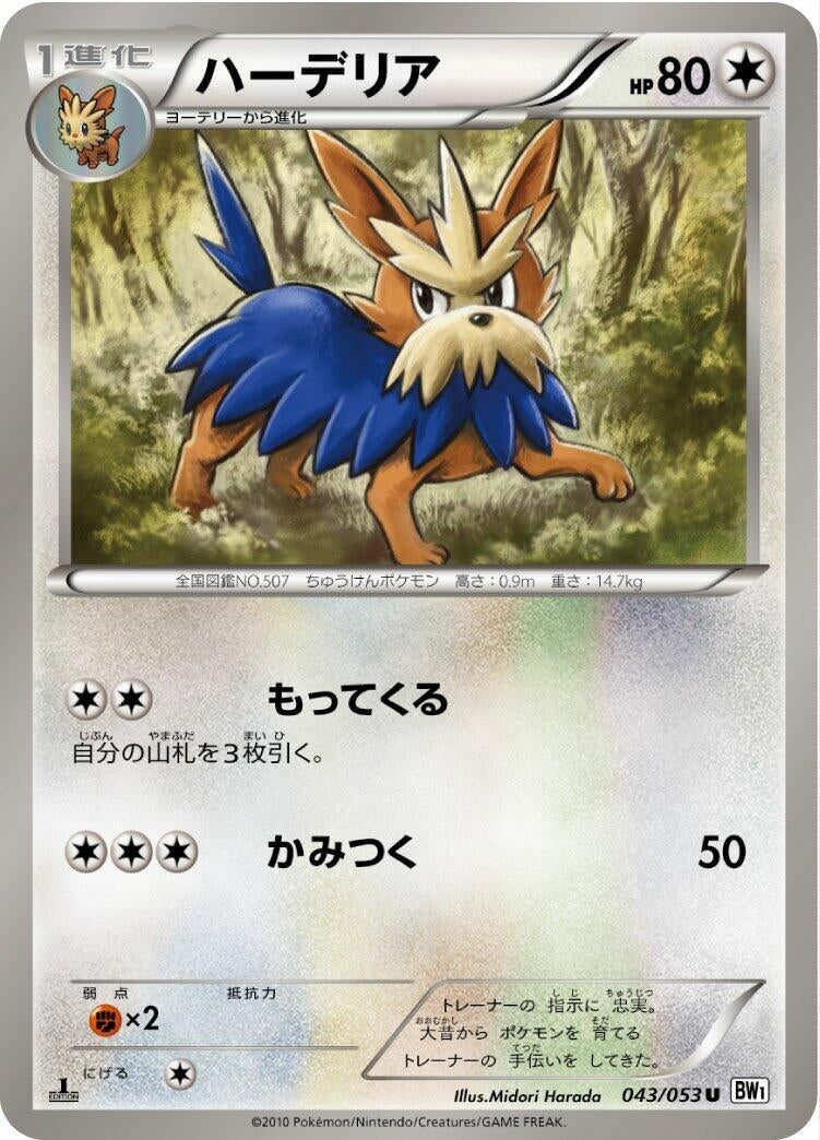 Image for Herdier (BW1: White Collection) (043/053) - Pokemon Japan