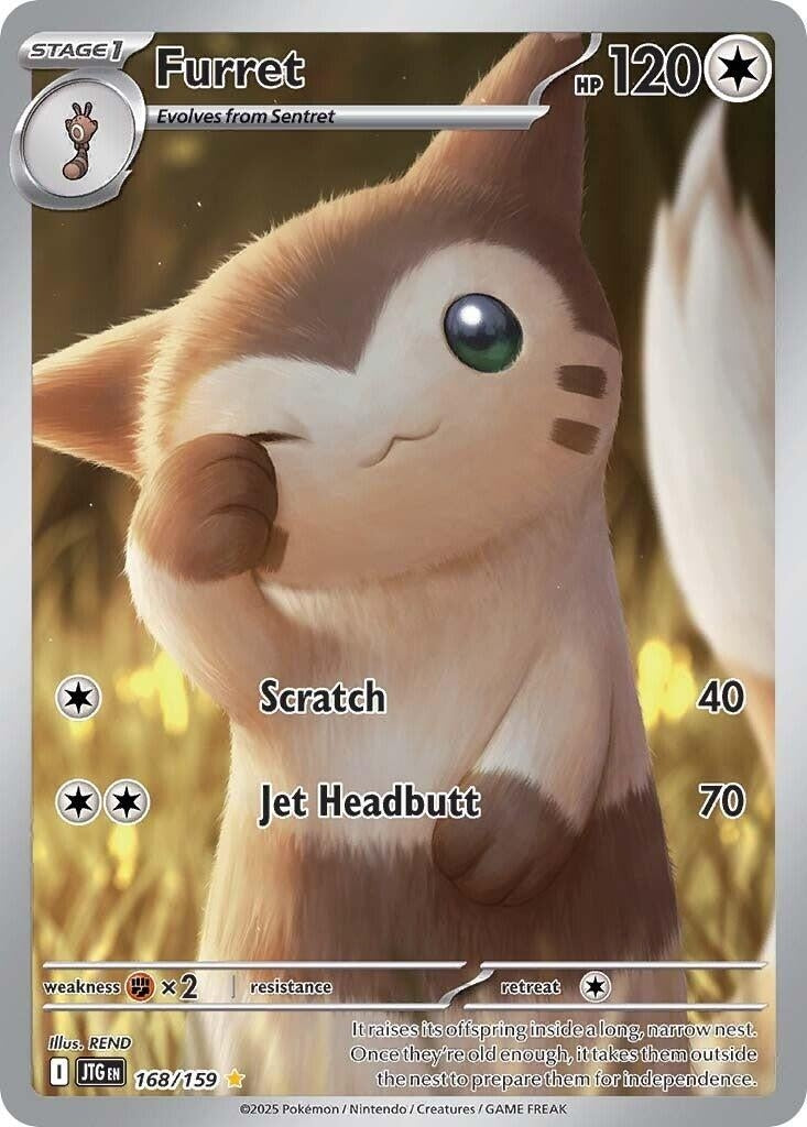 Image for Furret (SV09: Journey Together) (168/159) - Pokemon