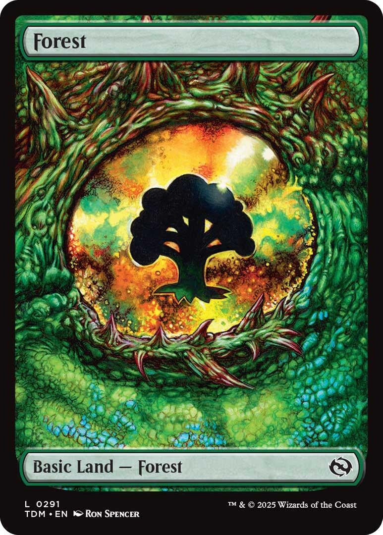 Image for Forest (0291) (Tarkir: Dragonstorm) (291) - Magic: The Gathering