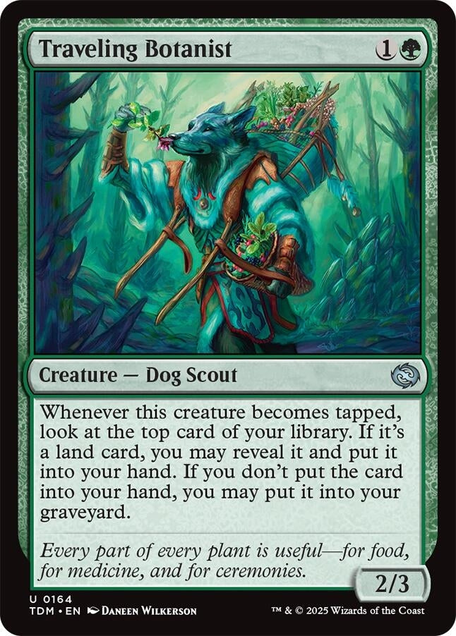 Image for Traveling Botanist (Tarkir: Dragonstorm) (164) - Magic: The Gathering