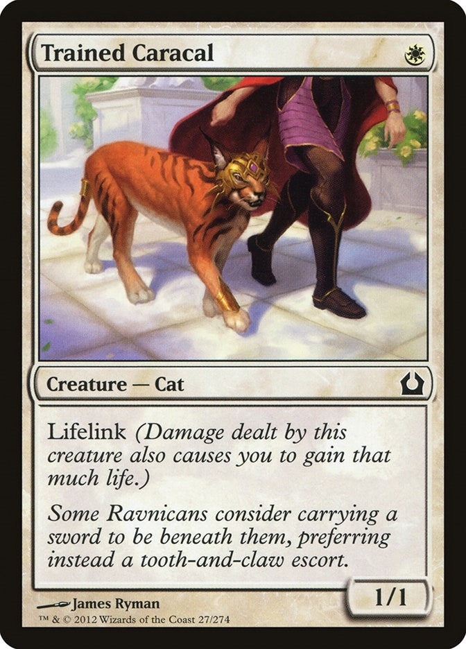 Image for Trained Caracal (Return to Ravnica) (27) - Magic: The Gathering