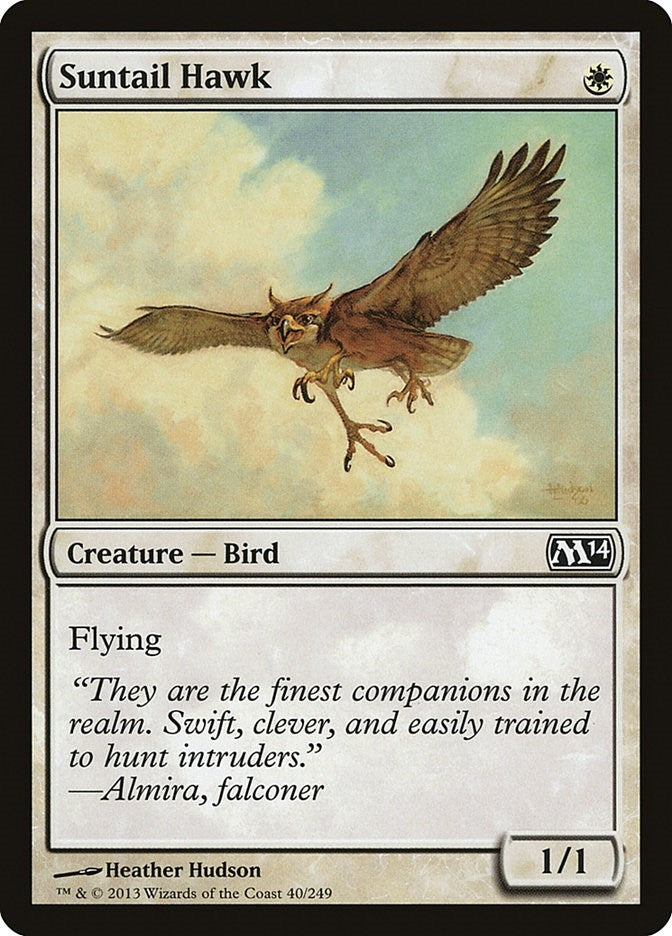 Image for Suntail Hawk (Magic 2014 (M14)) (40) - Magic: The Gathering
