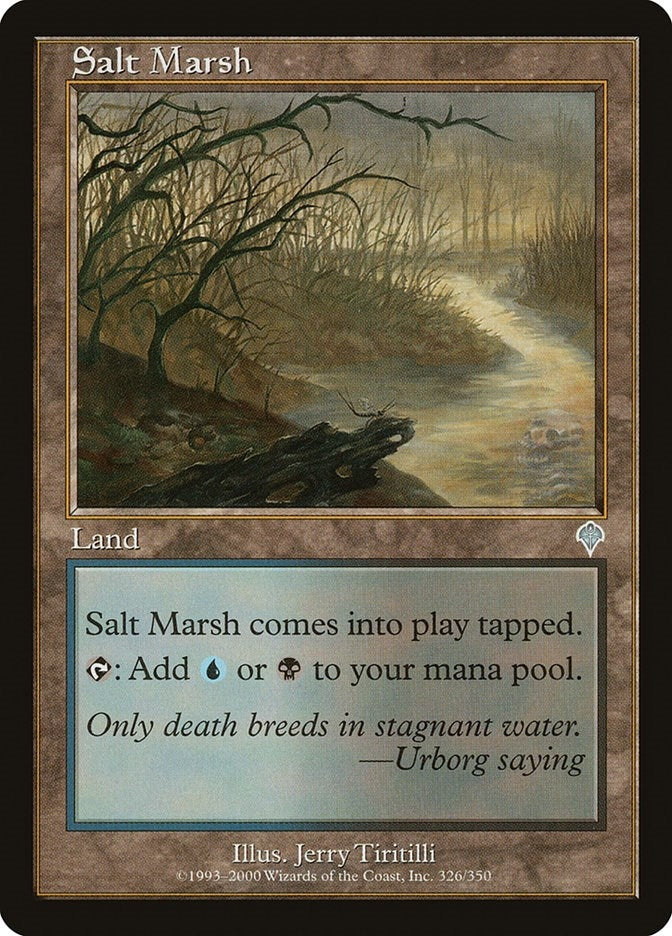 Image for Salt Marsh (Invasion) (326) - Magic: The Gathering
