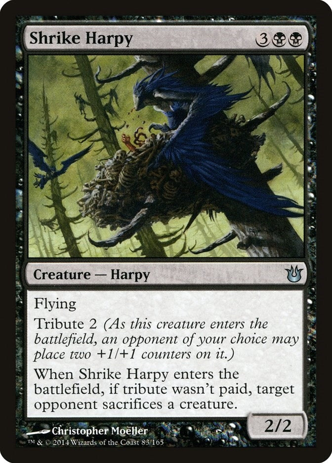 Image for Shrike Harpy (Born of the Gods) (83) - Magic: The Gathering