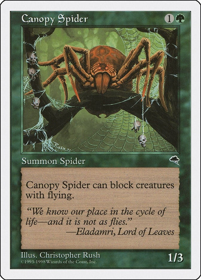 Image for Canopy Spider (Anthologies) (64) - Magic: The Gathering