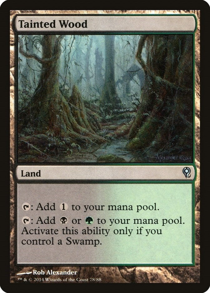 Image for Tainted Wood (Duel Decks: Jace vs. Vraska) (78) - Magic: The Gathering
