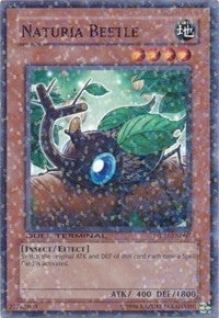 Image for Naturia Beetle (Duel Terminal 2) (DT02-EN007) - YuGiOh
