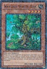 Image for Naturia White Oak (Duel Terminal 4) (DT04-EN081) - YuGiOh