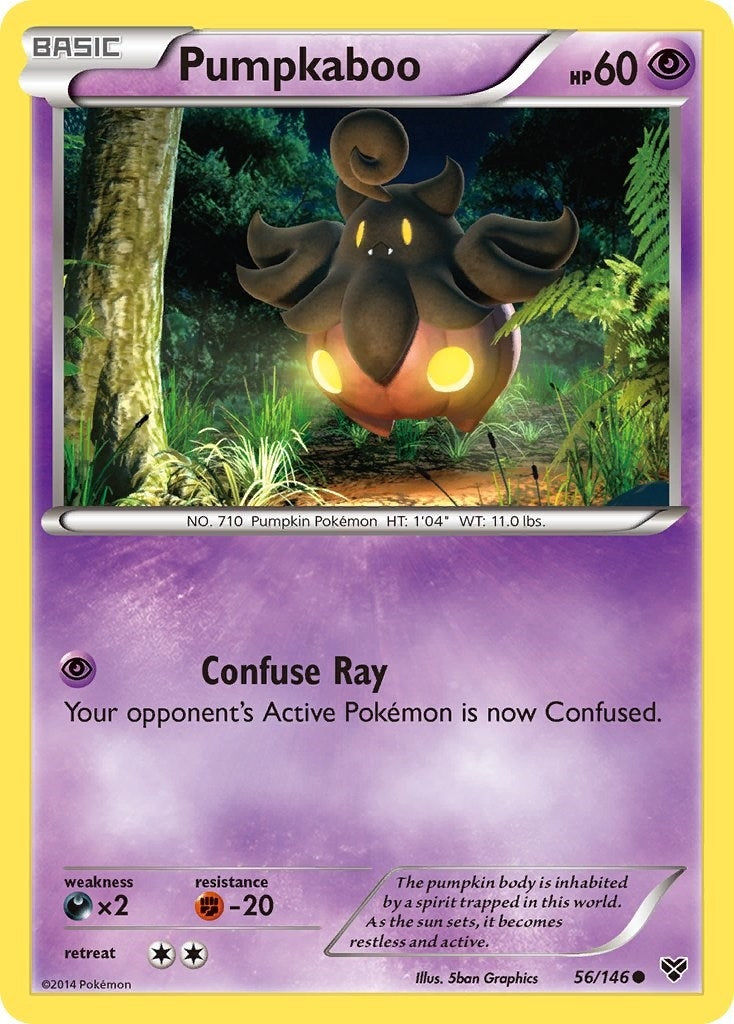 Image for Pumpkaboo (XY Base Set) (56/146) - Pokemon