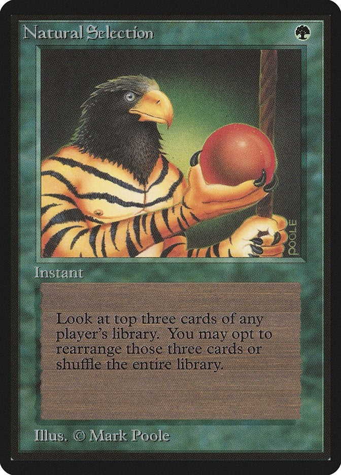 Image for Natural Selection (Beta Edition) - Magic: The Gathering