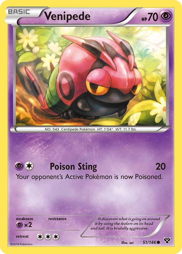 Image for Venipede (XY Base Set) (51/146) - Pokemon