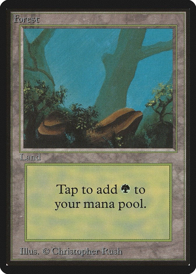 Image for Forest (A) (Beta Edition) - Magic: The Gathering