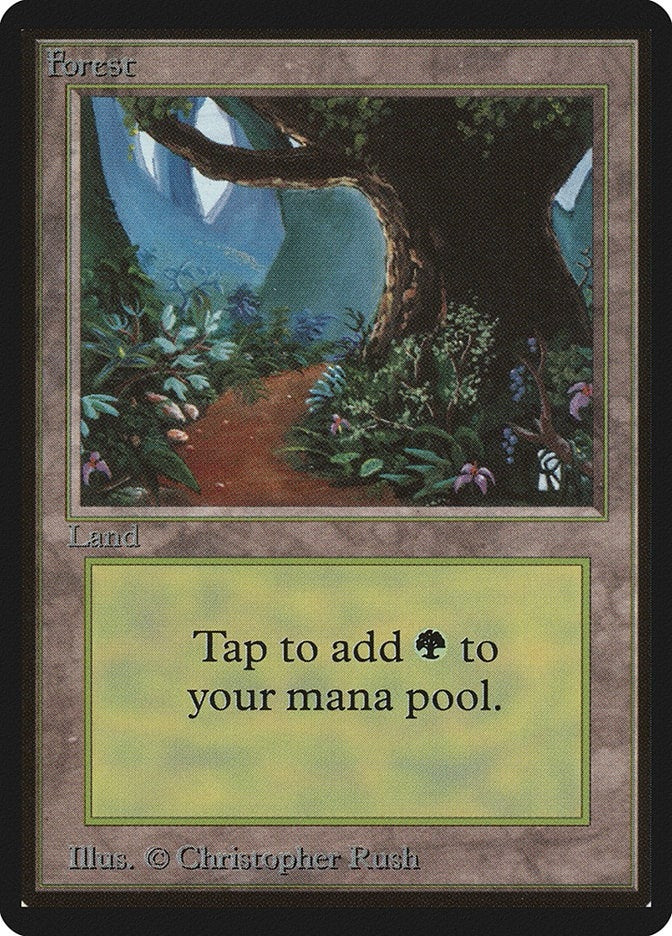Image for Forest (B) (Beta Edition) - Magic: The Gathering
