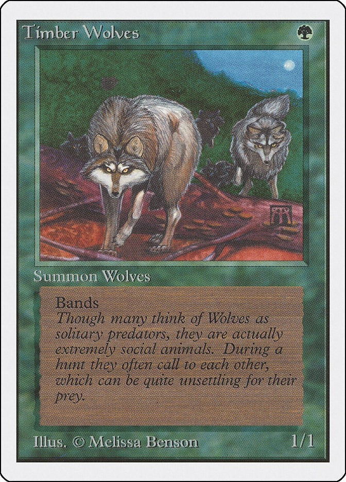 Image for Timber Wolves (Unlimited Edition) - Magic: The Gathering