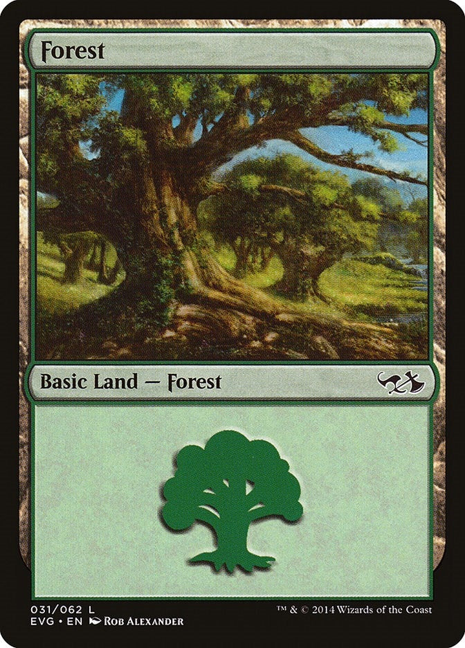 Image for Forest (031) (EVG) (Duel Decks: Anthology) (31) - Magic: The Gathering
