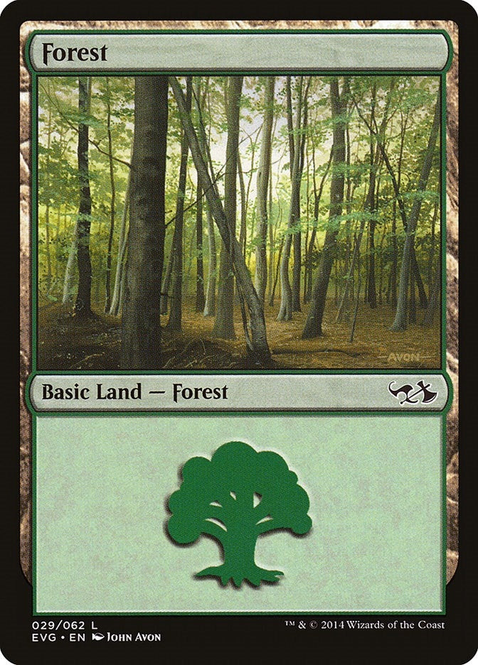Image for Forest (029) (EVG) (Duel Decks: Anthology) (29) - Magic: The Gathering