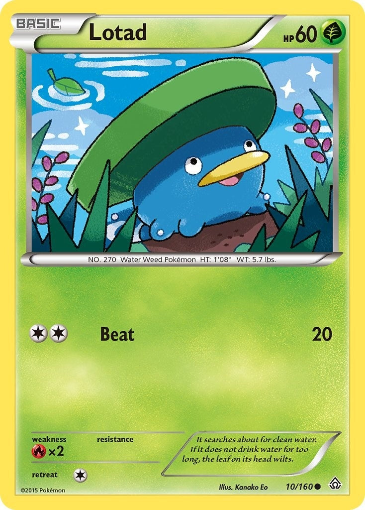 Image for Lotad (XY - Primal Clash) (10/160) - Pokemon
