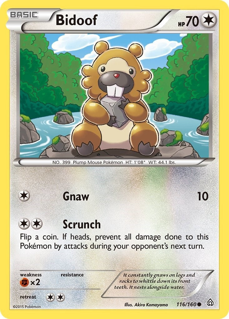 Image for Bidoof (XY - Primal Clash) (116/160) - Pokemon