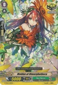 Image for Maiden of Dimorphotheca (G-TD03: Flower Maiden of Purity) (G-TD03/015EN) - Cardfight Vanguard