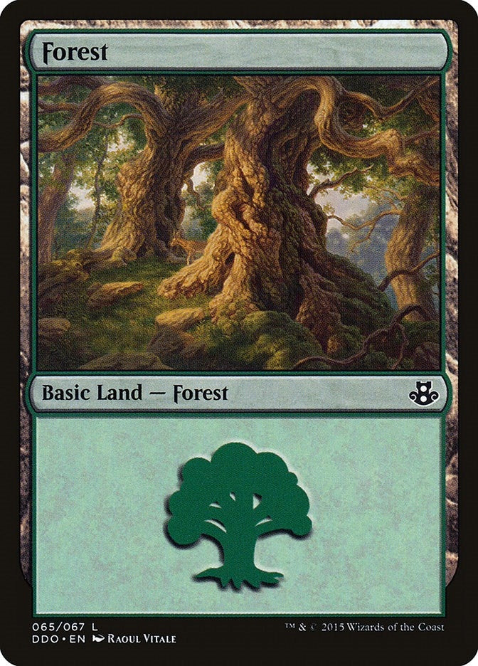 Image for Forest (065) (Duel Decks: Elspeth vs. Kiora) (65) - Magic: The Gathering