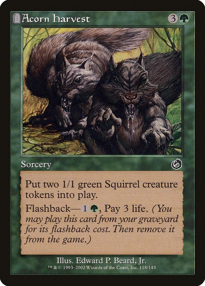 Image for Acorn Harvest (Torment) (118) - Magic: The Gathering