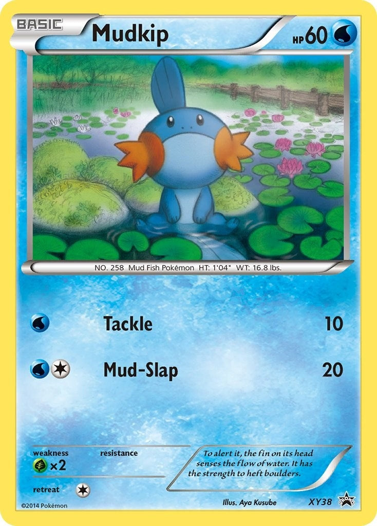 Image for Mudkip - XY38 (XY Promos) (XY38) - Pokemon