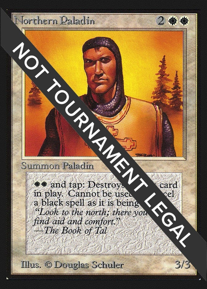Image for Northern Paladin (IE) (International Edition) - Magic: The Gathering