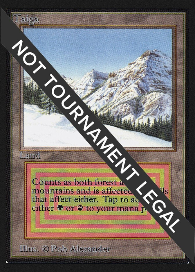 Image for Taiga (IE) (International Edition) - Magic: The Gathering