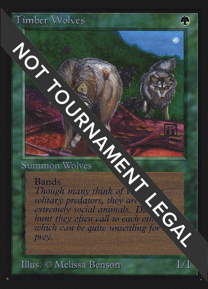 Image for Timber Wolves (IE) (International Edition) - Magic: The Gathering