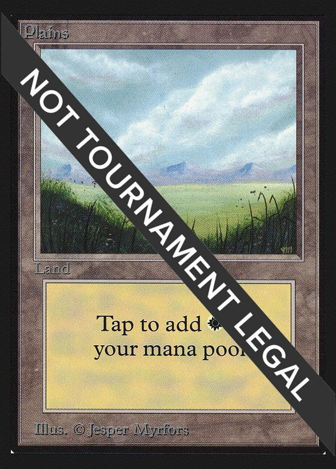 Image for Plains (A) (IE) (International Edition) (289) - Magic: The Gathering